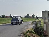 Zandlemig Vlaanderen